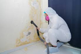 Best Mold Removal for HVAC Installations  in Geneva, AL